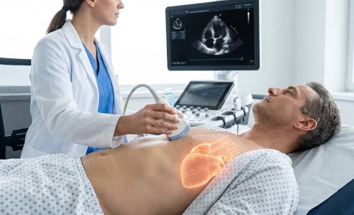 Echocardiography — Clinical Showcase Visual Asset